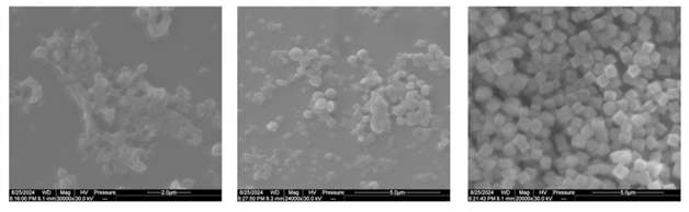 Original ULTIMALAB microscopy image