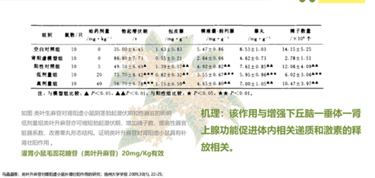 Original PHYTIME study image 3
