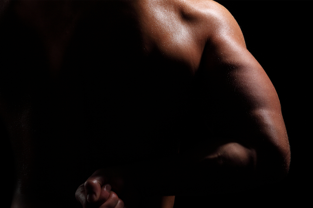 Male torso visual from the design source
