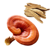 Organic whole Ganoderma lucidum/Reishi slices lucidum ganoderma whole/ganoderma lucidum lingzhi