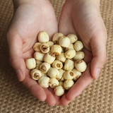 Chinese Dried White Lotus Flower Seed Per Kg Price