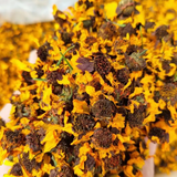 Wholesale chinese herb tian shan xue ju Natural coreopsis tinctoria health tea kunlun snow chrysanthemum