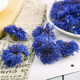 wholesale herbal dried cornflower tea blue cornflower Flavored tea flower tea