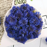 wholesale herbal dried cornflower tea blue cornflower Flavored tea flower tea