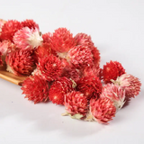 wholesale chinese herb hong qiao mei hot selling red globe amaranth artful plum herbal tea flowers tea for women