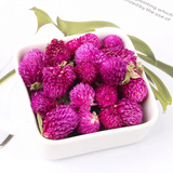 Wholesale Chinese herbal natural Qian Ri Hong New Arrival Dried Gomphrena globosa globe amaranth