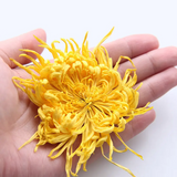 Wholesale Chinese herb Golden silk chrysanthemum tea king of chrysanthemum tea dried Golden silk royal chrysanthemum for tea